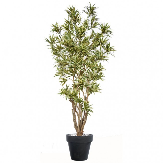 Planta semi-artificiala Ila, Dracaena Reflexa Malabar Variegated - 220 cm